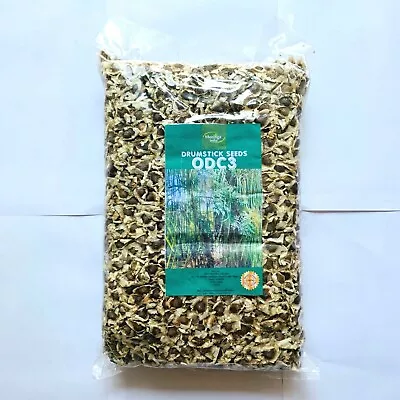 Moringa Oleifera Drumstick Miracle Tree Seeds ODC3 Edible Premium Organic Large • $8