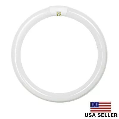 FC8T5 22W Watt Circular Fluorescent Lamp 7.25  Inch Light Bulb Daylight White  • $16.98