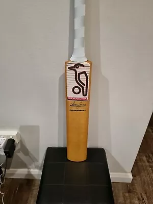 Kookaburra Cricket Bat • $255
