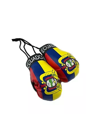 Country Flag Mini Boxing Gloves - New One Pair Multiple Countries Available • $8.99