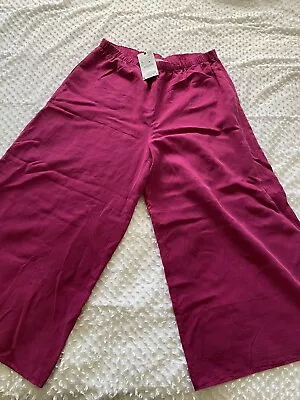 BNWT Zara Wide Leg Pull On Pants  Sz XL Rrp $105 • $35