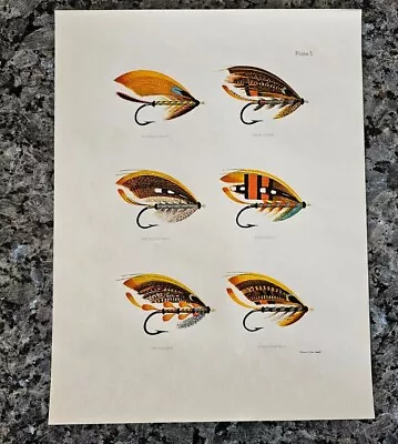 RARE Vintage Fly Fishing Art • Salmon Flies Plate 5 ☆ Wyman & Sons London 8x10  • $28