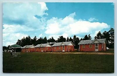 Postcard MI Kalkaska Michigan Love's Norland Motel Log Cabins C1950s AF11 • $5.99