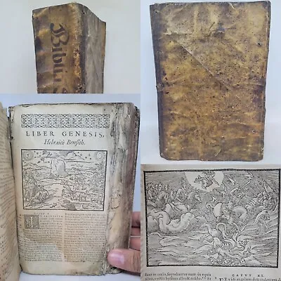 Biblia Sacra 16th Century ~ Hundreds Of Woodcuts ~ Vellum Binding • $1280.32