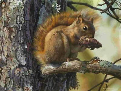 Carl Brenders PICNIC PERCH Red Squirrel Art Print ARTIST PROOF A/P #10/76 • $132