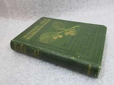 1904 TREES Of Wayside & Woodland - Edward Step 1st Ed • £15