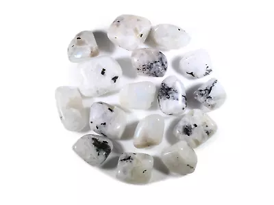 Rainbow Moonstone Tumbled Gemstones - Bulk Wholesale Options - 1 LB • $11.19