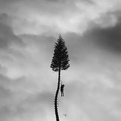 Manchester Orchestra - Black Mile To The Surface (Gatefold Etched 130 Gram) • $32.33