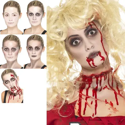 Zombie Make Up Kit FX Halloween Fancy Dress Costume Face Paint Female • £8.99