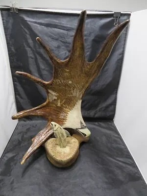 Hand Carved Moose Antler Eagle W/ Fish Etched Scene 22  Tall X 14  Wide Signed • $499.99