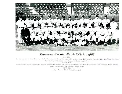 1965 Vancouver Mounties  Baseball Team  Photo Canada  • $5.95