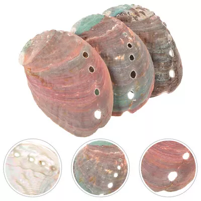 Natural Sea Shell Smudge Kit - 3pcs For Fish Tank Incense Burner Abalone Shell • £6.75