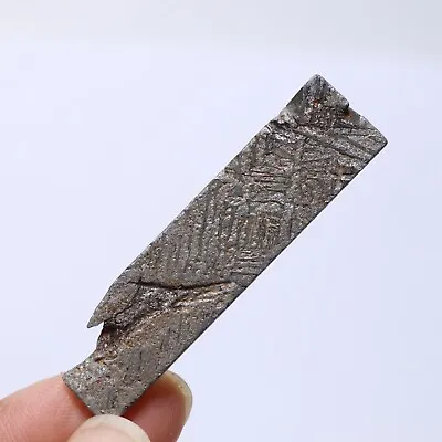 12g Iron Meteorite Muonionalusta Meteorite Iron Meteorite Part Slice  M168 • $16