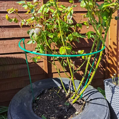 £17.99 • Buy Woodside Steel Garden Plant Support Stakes, Half Round Flower Guard Cage 10 Pack