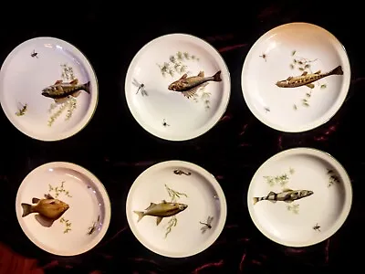 Vintagef Set  Of  6 Bareuther Waldassen Bavaria Germany  7 7/8  Fish  Plates • $34