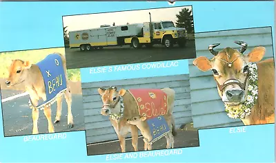 Postcard Elsie The Famous Borden Cow & Son Beauregard In The Cowdillac Unused • $9.99