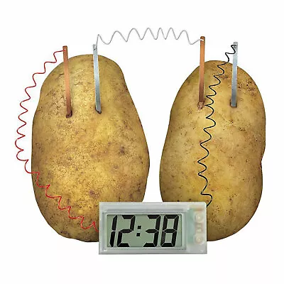 Potato Clock Science Experiment Kit • $12.95