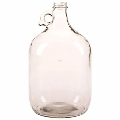 TWO 1 Gallon Glass Jug Carboy Fermenter For Home Beer Or Wine Making • $31.46