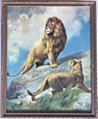 Majestic Lions - African Landscape   -  R. Atkinson Fox • $32.95