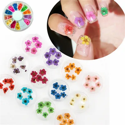 12 Colours 3D Nail Art Dried Dry Flowers Wheel Gel False Nails Tips Manicure DIY • $2.94