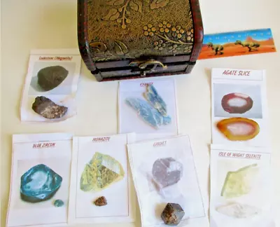 Treasure Chest With Beautiful Mixed Crystals Kyanite Garnet Monazite • $15.56