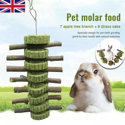 Rabbit Hamster Chew Grass Ball Branch Molar Guinea Pig Pet Teething Grinding Toy • £6.32