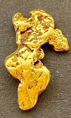 💖GOLD NUGGET Natural Alaska Placer 2.688 GRAMS AK Koyukuk River Hi Purity 94%💖 • $202.50