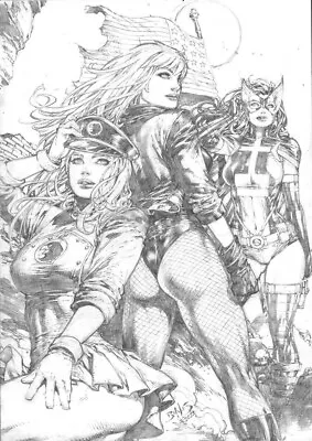 Birds Of Prey Pencil Drawing By Ed Benes 9  X 12  DC Comics Original Artwork • $599.99