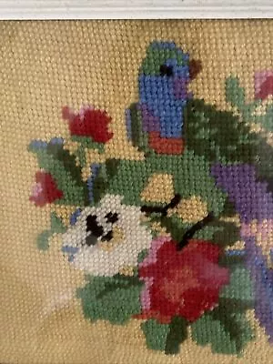 Framed Art Needlepoint Tapestry Colourful Parrot Vintage Mid Century Style • $18.27