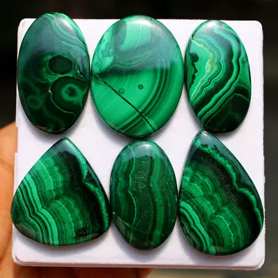 6 Pcs Natural Malachite Top Quality 37.1mm-43.5mm Cabochon Loose Gemstones Lot • $33.95