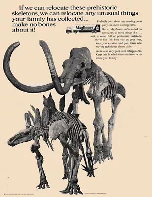 1971 Mayflower: Relocate These Prehistoric Skeletons Vintage Print Ad • $8.50