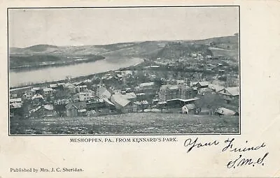 MESHOPPEN PA - Meshoppen From Kennard's Park - Udb - 1905 • $6.53