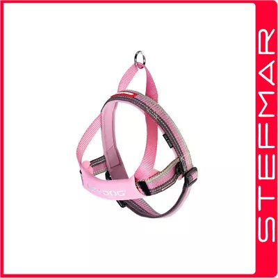 Ezydog Harness QF 2XS Candy 2-3kg Neck23-38cm Girth30-38cm • $32.51