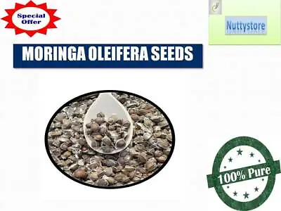 £5.55 • Buy Moringa Oleifera Seeds Natural Remedy Non-Gmo Eating Finest Organic Herb 100%