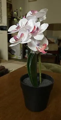 Lovely Artificial Orchid - Plastic Vase - White/Pink - 32cm Tall • £9.50