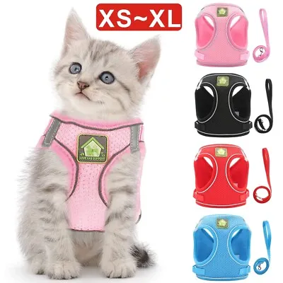 Small Pet Dog Puppy Cat Harness Breathable Reflective Soft Mesh Vest Lead Cute • £5.99