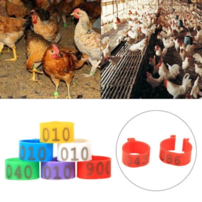 £5.15 • Buy 100PCS 16mm 20mm Clip On Leg Band Rings For Chicken Ducks Poultry Pigeon Bird