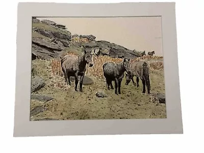 Mark Leary Wildlife Art Watercolour Paintings Dartmoor Ponies Roaming Free • £36