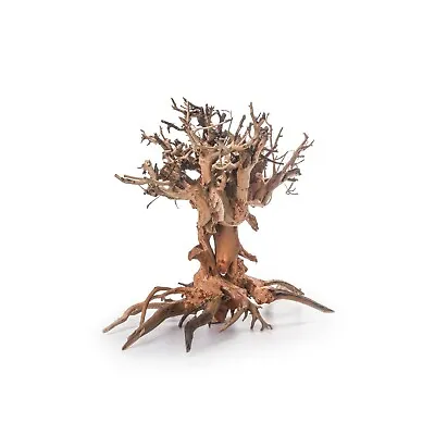 Aquarium Wood Bonsai Tree Decoration Premium Pieces Aquascaping Root Iwagumi • £107.99