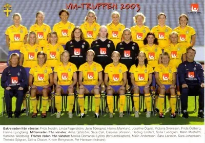 Sweden 2003 Women's World Cup Soccer Team Photo Card Postcard Ljungberg Svensson • $14.50