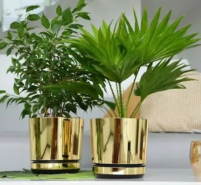 Korad Indoor Mirror Gold Plant Pots With Saucer And Drainage Holes Flower Stand • £6.59