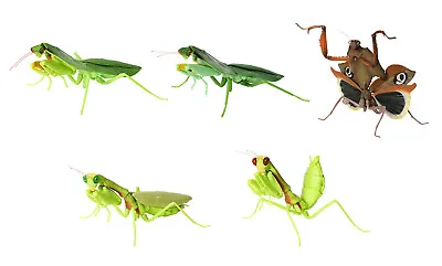 The Diversity Of Life On Earth Mantis Figure Vol 4 Bandai Gashapon Set Of 5 • $48