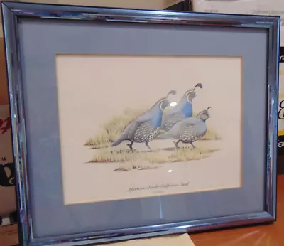 Afternoon Stroll - California Quail 3rd Edition #4601/20000  Matted And Framed • $25
