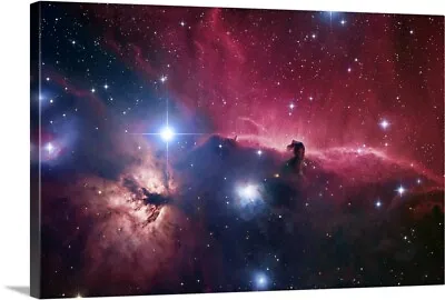 The Horsehead Nebula Canvas Wall Art Print Outer Space Home Decor • $49.99