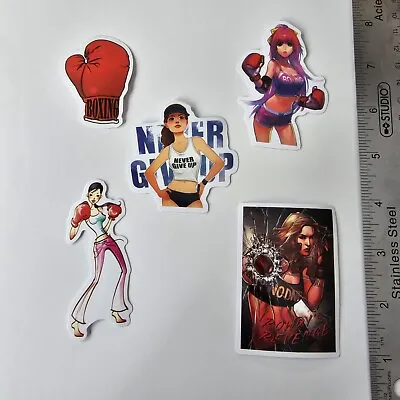 Women's Boxing Mma Boxer Fighter 5a9 Sticker Lot Decal Laptop Phone Stickers • $3.65