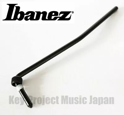 Ibanez 2TRX5BD001 Edge Zero II Whammy Bar Tremolo Bar For Edge Pro II New • $34.87