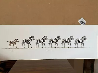 £35 • Buy Zebras Wildlife Art Print  Zebra Crossin By Warwick Higgs. Solomon And Whitehead