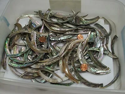 100 Pieces Large Sliced Abalone Shell Pieces (Craft And Jewelry Making) (RFD-5)⭐ • $70