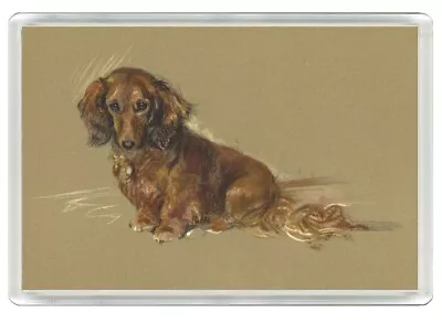 Dachshund Long Haired Beautiful Dog Art Print Novelty Fridge Magnet   Great Gift • £3.49