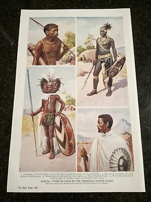 Africa Bushman Zulu Masai Warrior Ethiopian Asiatic C 1920 ANTIQUE PRINT • £23.44
